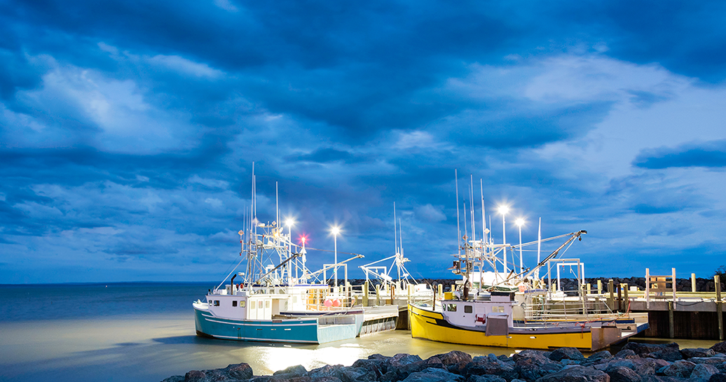 Fishing vessels docked at a pier